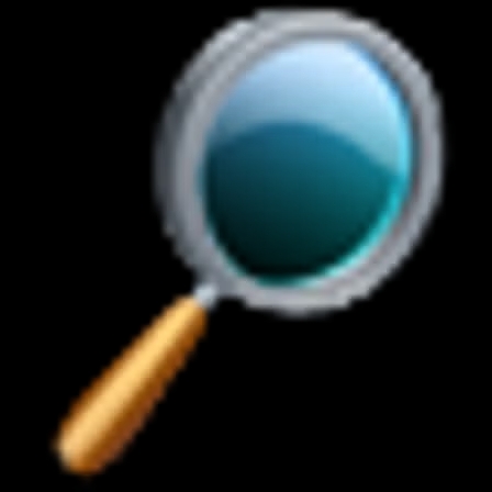 TheSearchMan